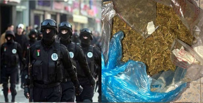 المخابرات تضبط"3كغم" ماريجوانا مخدرة في جنين