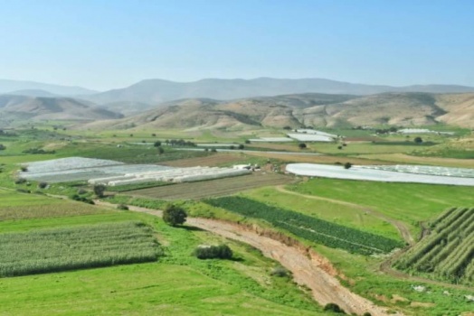 لجنة الضم الامريكية الاسرائيلية تباشر عملها