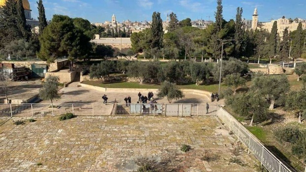 139 مستوطنا يقتحمون المسجد الأقصى
