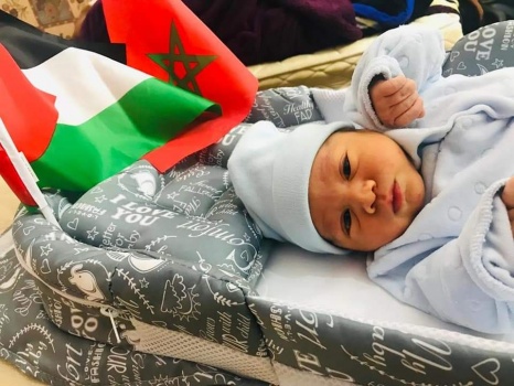 غسان بين الوطن والمنفى