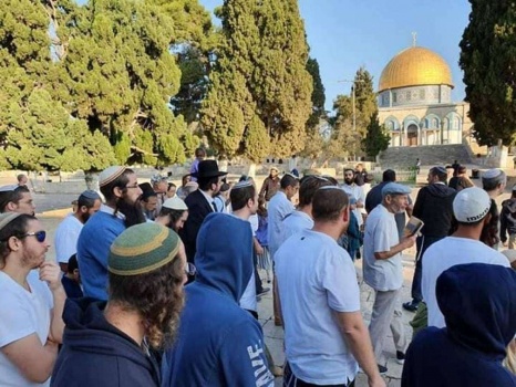 مستوطنون يقتحمون المسجد الأقصى المبارك