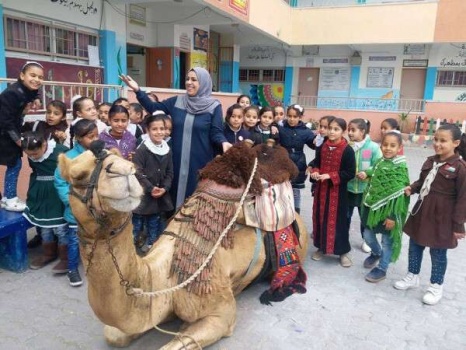في مدرسة بغزة.. مُعلمة تنفذ درسًا للطلاب بإحضار جمل