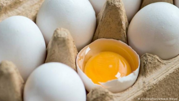 دراسة تكشف كمية البيض المسموح تناوله يوميا
