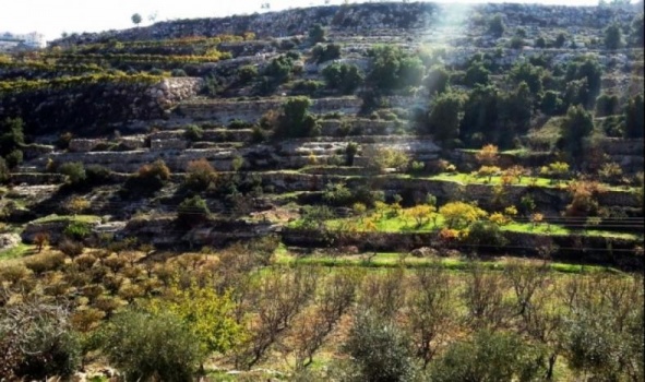5 شبان استدرجوا سائحة واغتصبوها بالتناوب في بيت لحم