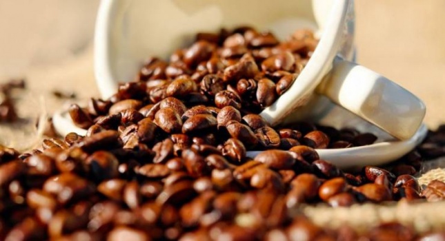 البن العربي في خطر .. ما القصة؟