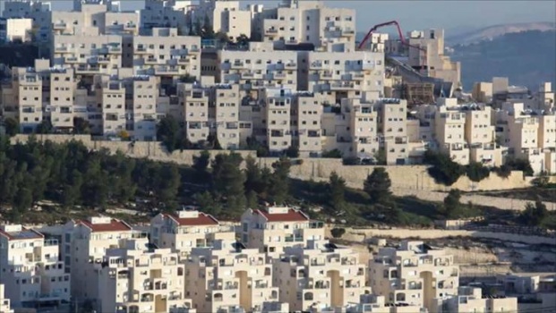 الجامعة العربية: إسرائيل تستغل كورونا للتوسع بالاستيطان