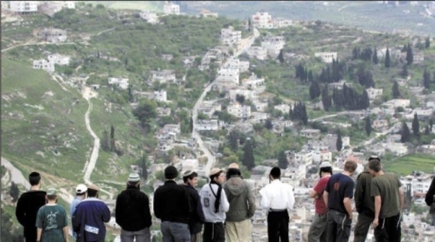 مستوطنون يعربدون على شارع جنين- نابلس
