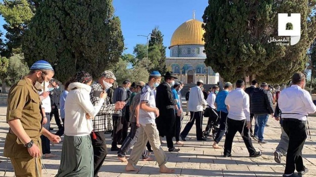 اعتقالات وإبعادات- 233 مستوطنا يستبيحون ساحات الأقصى