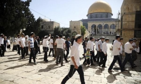عشرات المستوطنين بقيادة المتطرف غليك يقتحمون "الأقصى"
