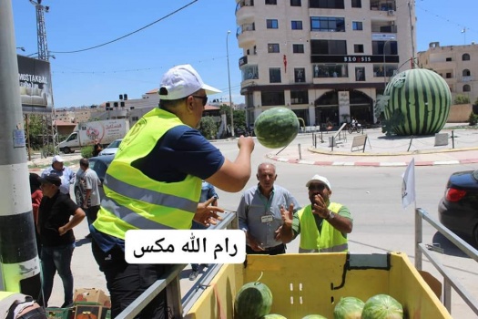جنين: حملة لدعم بطيخ الأغوار الفلسطينية