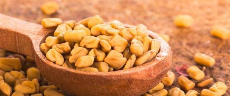 فوائد الحلبة