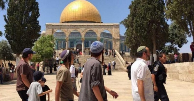 156 مستوطنا يقتحمون "الأقصى" وينفذون جولات استفزازية