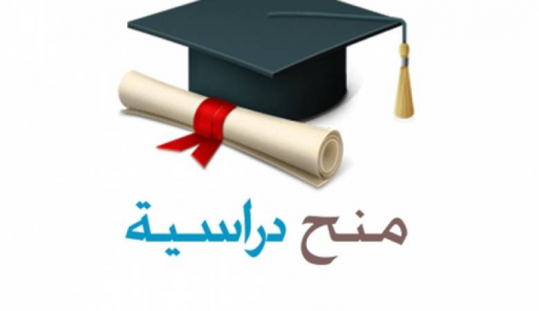 "التعليم العالي" تعلن عن منح دراسية في الجزائر