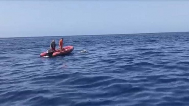 العثور على جثة قبالة شواطئ لبنان