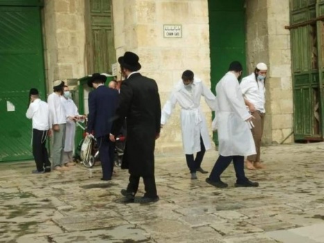 مستوطنون يقتحمون المسجد الاقصى