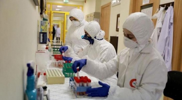 قلقيلية: تسجيل 19 إصابة جديدة بفيروس (كورونا) بالمحافظة وتعافي 23 حالة