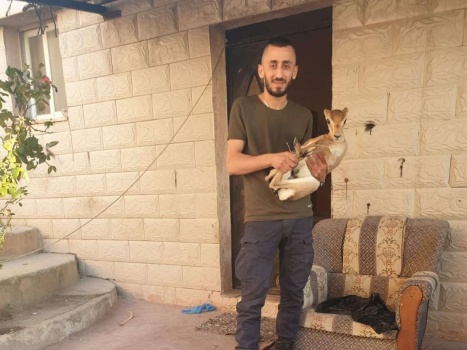 الاحتلال يعتقل شابا من مخيم جنين