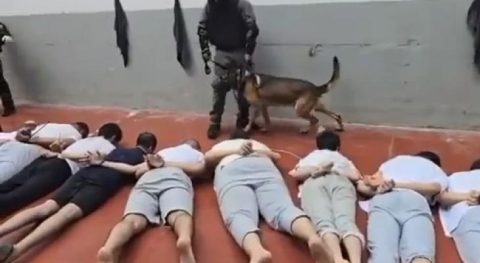 رئيس المحكمة العليا بإسرائيل: سجوننا أصبحت غوانتانامو 