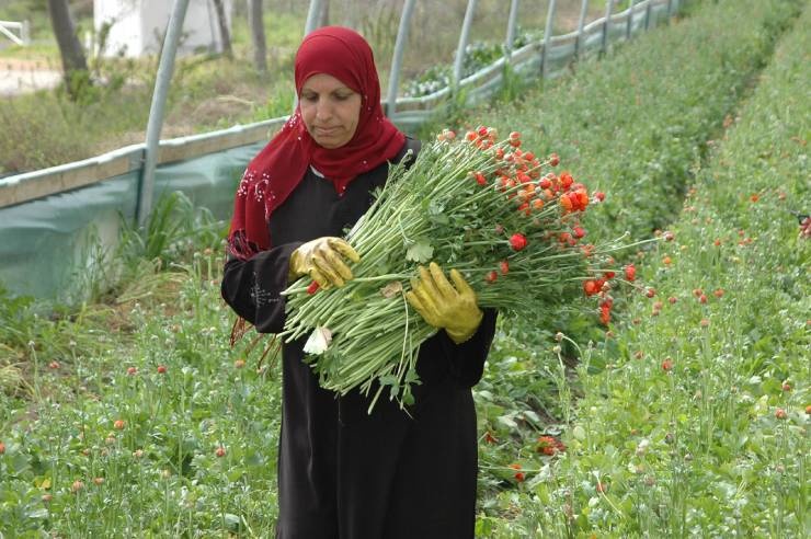 رجال الخليج الأقوياء.. أغنى 10 أشخاص في المنطقة