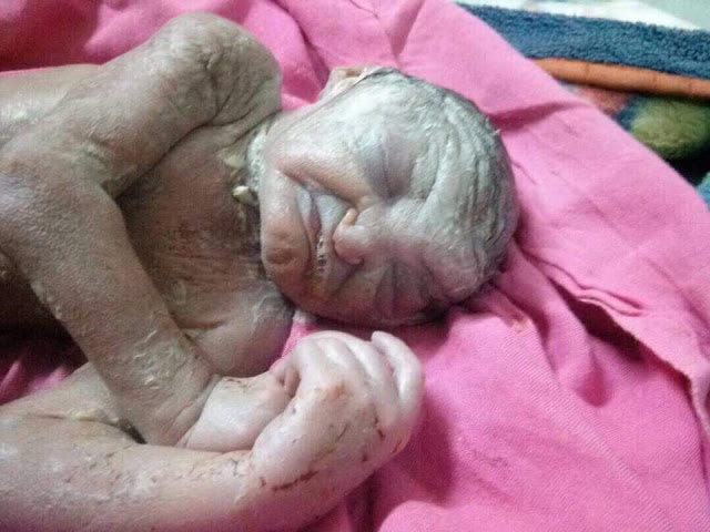 مفتي السعودية وأسرة آل الشيخ يتبرآن من أمير قطر