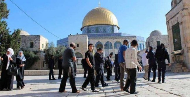 مستوطنون يستولون على منزلين في سلوان