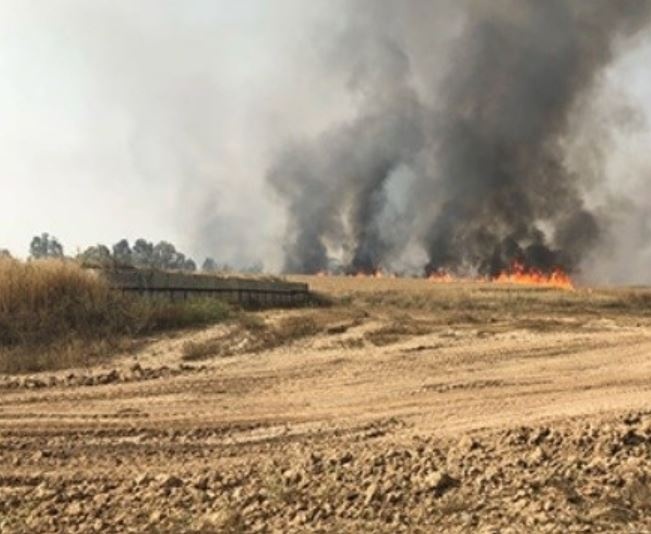 نشر جنود احتياط في محيط قطاع غزة لهذا الغرض...