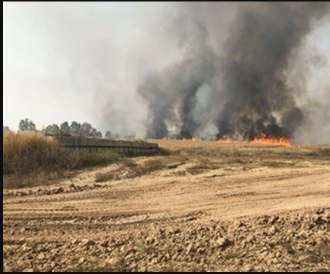 نشر جنود احتياط في محيط قطاع غزة لهذا الغرض...