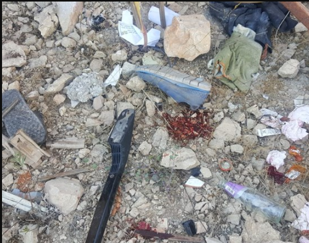 فيديو : اصابة 14 طالبة بحادث دهس في مدينة الخليل