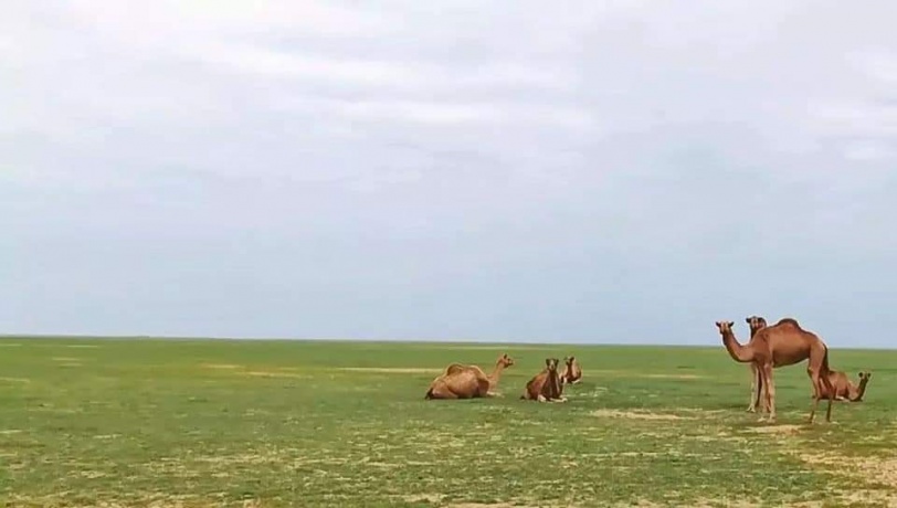 إستشهاد شاب برصاص الإحتلال في طولكرم